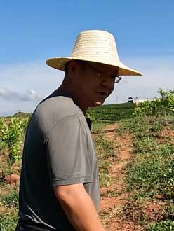 农业人叶涛，50多岁通讯人跨界搞农业，他要用1000万打造一个梦。